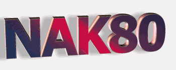 日本大同NAK80價格